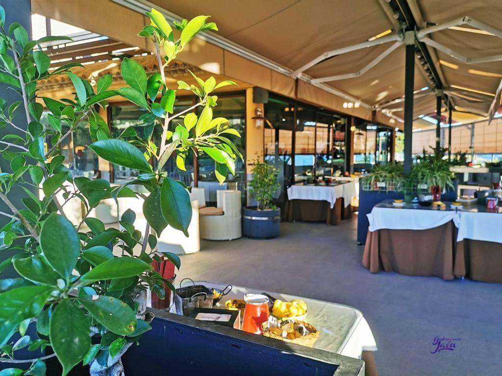 Hotel Campos De 바에자 외부 사진